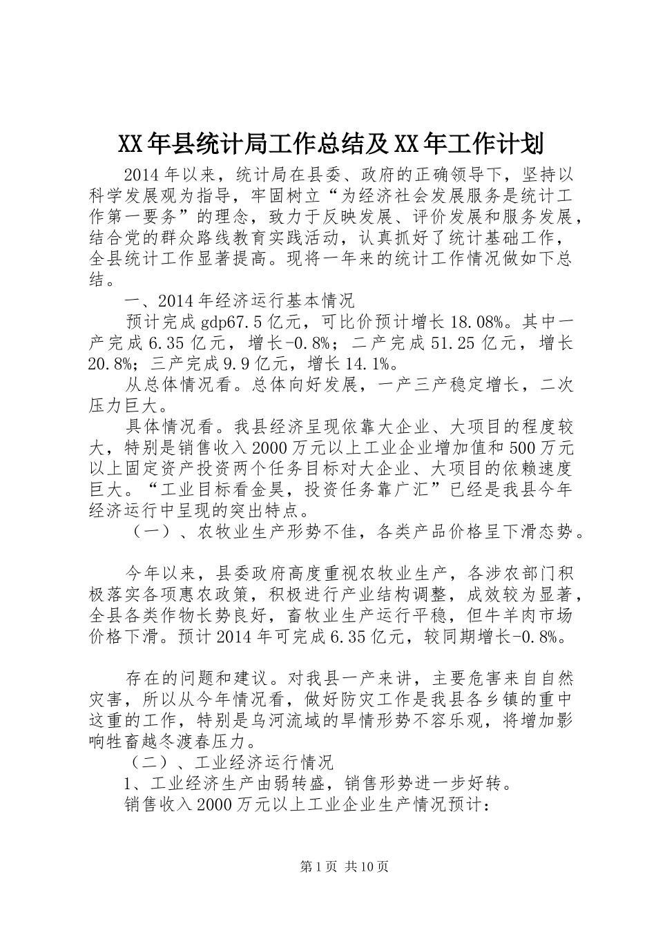 XX年县统计局工作总结及XX年工作计划_第1页