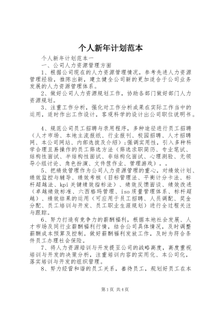 个人新年计划范本
