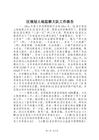 区规划土地监察大队工作报告
