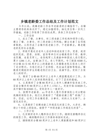 乡镇老龄委工作总结及工作计划范文