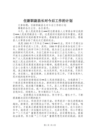 任新职副县长对今后工作的计划