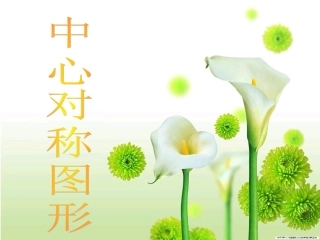 九年级数学《中心对称图形》课件 (2)