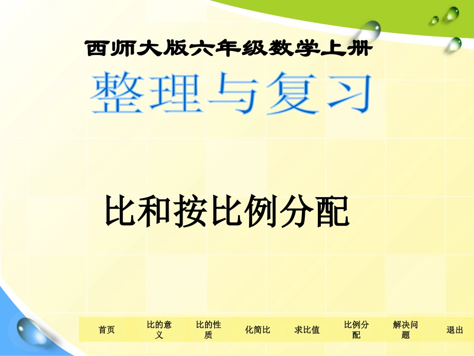 整理与复习(比和按比例分配)_第1页