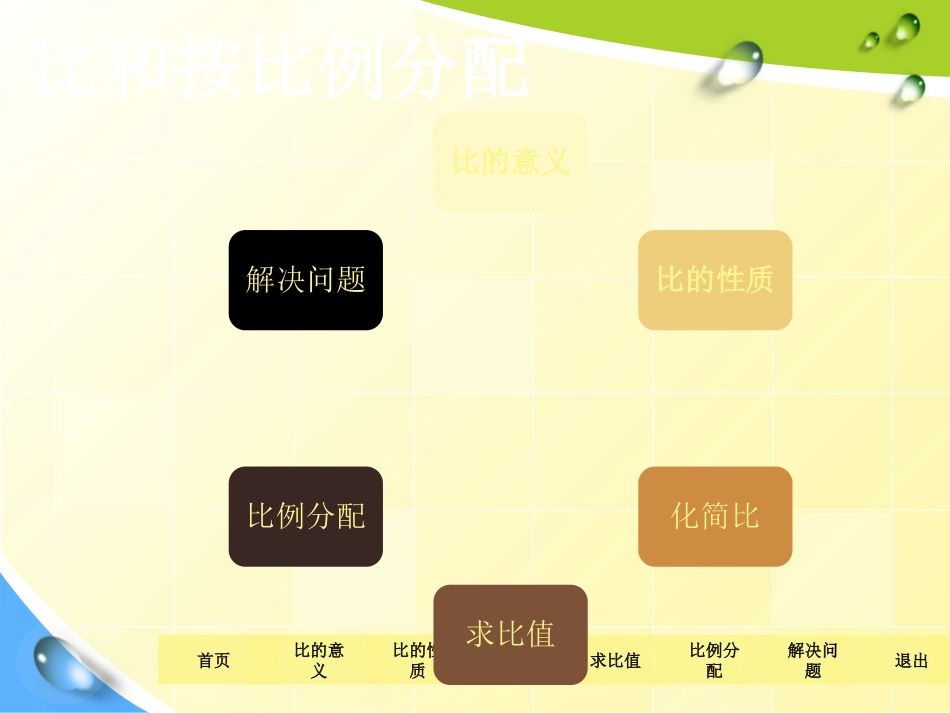 整理与复习(比和按比例分配)_第3页