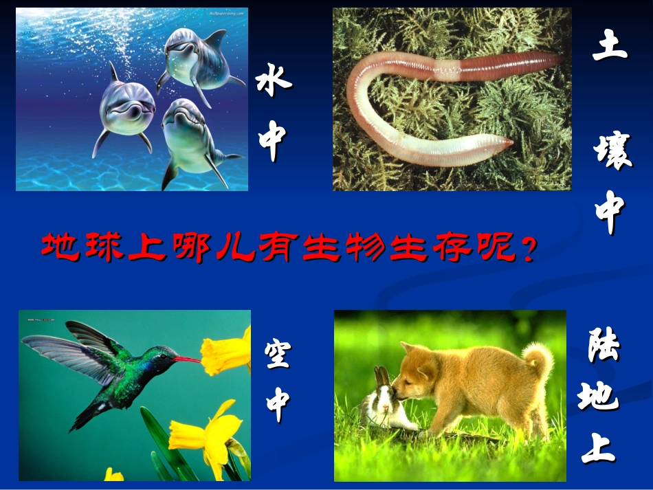 人类对生物圈的依赖2_第2页
