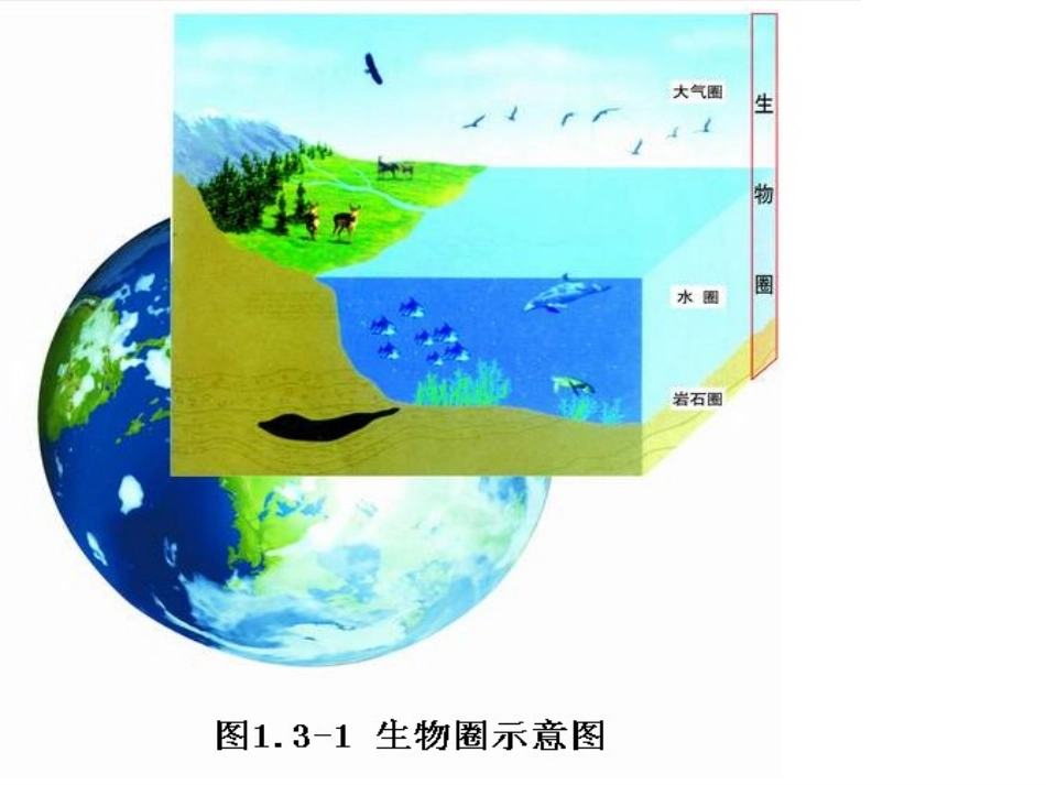 人类对生物圈的依赖2_第3页