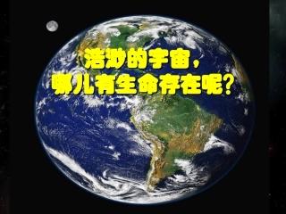 人类对生物圈的依赖2