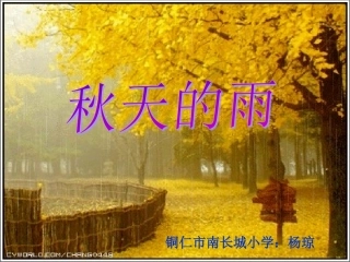 三年级语文《秋天的雨》