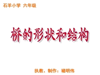 《桥的形状和结构》