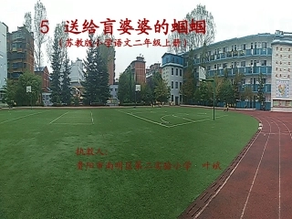 送给盲婆婆的蝈蝈