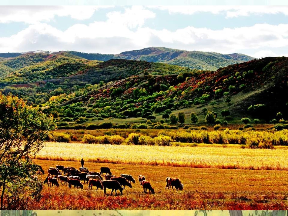 三年级秋天的图画作文指导_第3页