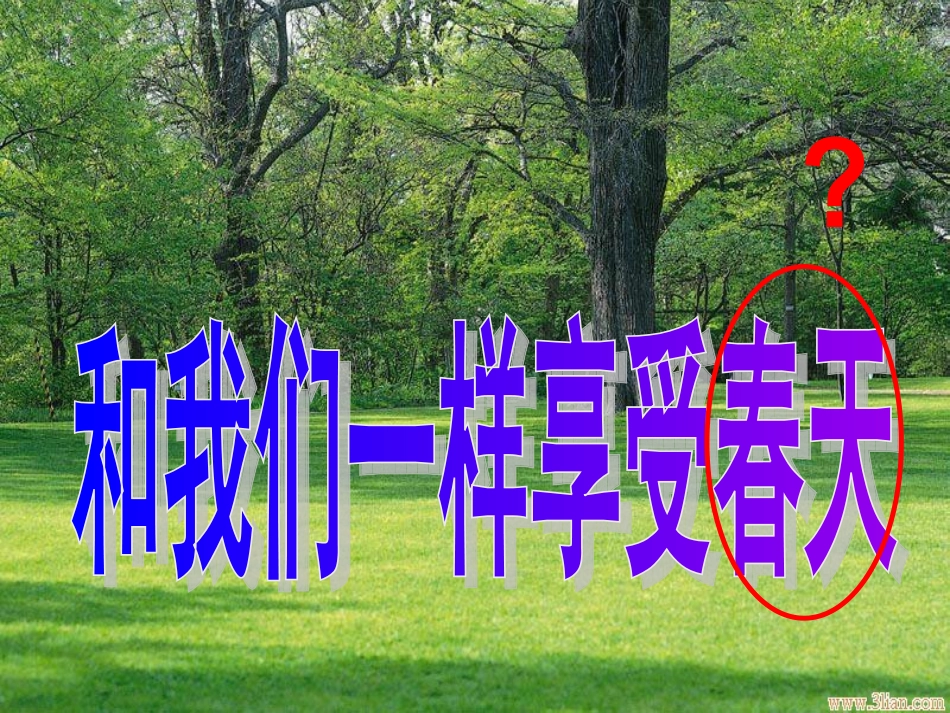 四年级语文下册第四组16和我们一样享受春天（略读）第一课时课件_第1页