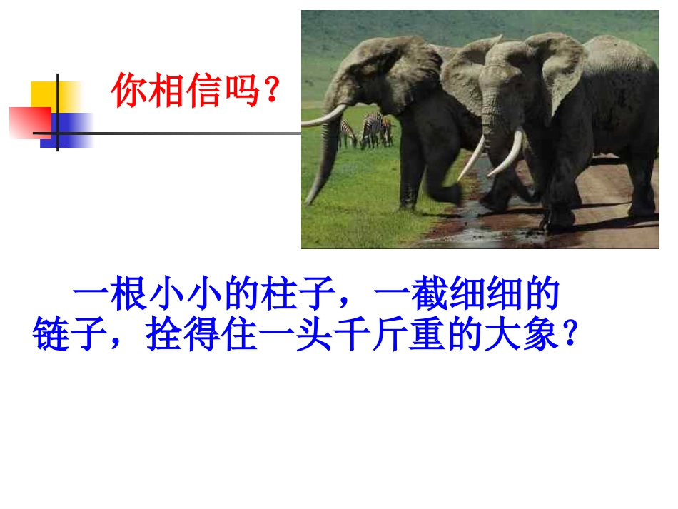 好习惯成就好人生_第2页