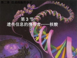 必修1-02-03遗传信息的携带者——核酸