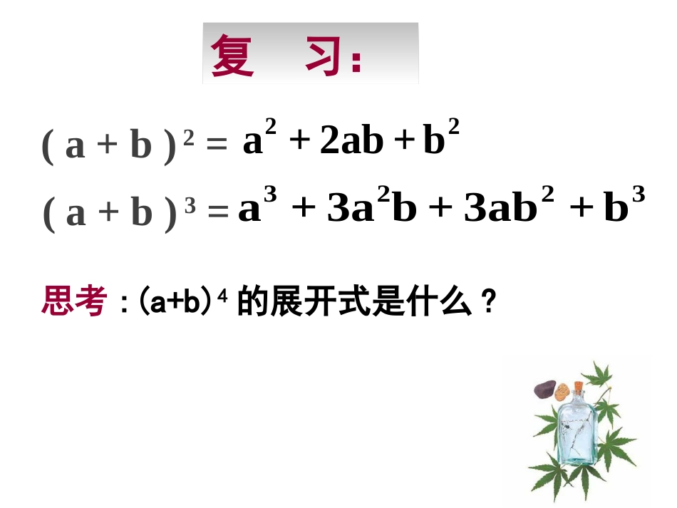 【数学】131《二项式定理（一）》课件（新人教A版选修2-3）_第2页