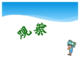 直线、射线、线段(郑静)