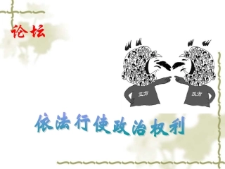 依法参与政治生活 (3)