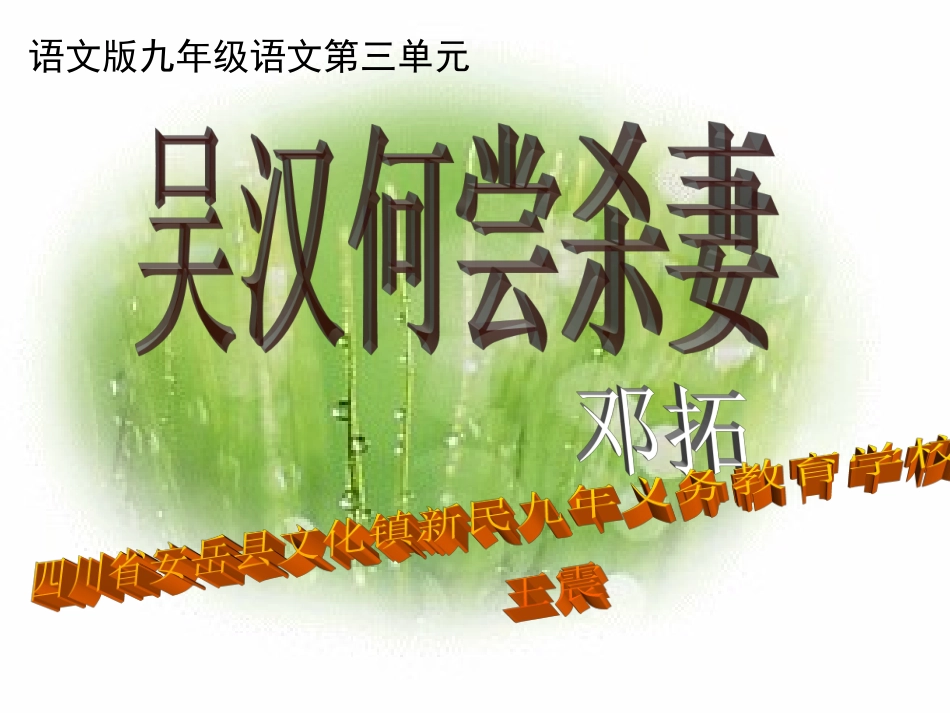 吴汉何尝杀妻 (2)_第1页