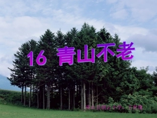 六年级语文上册第四组16青山不老课件