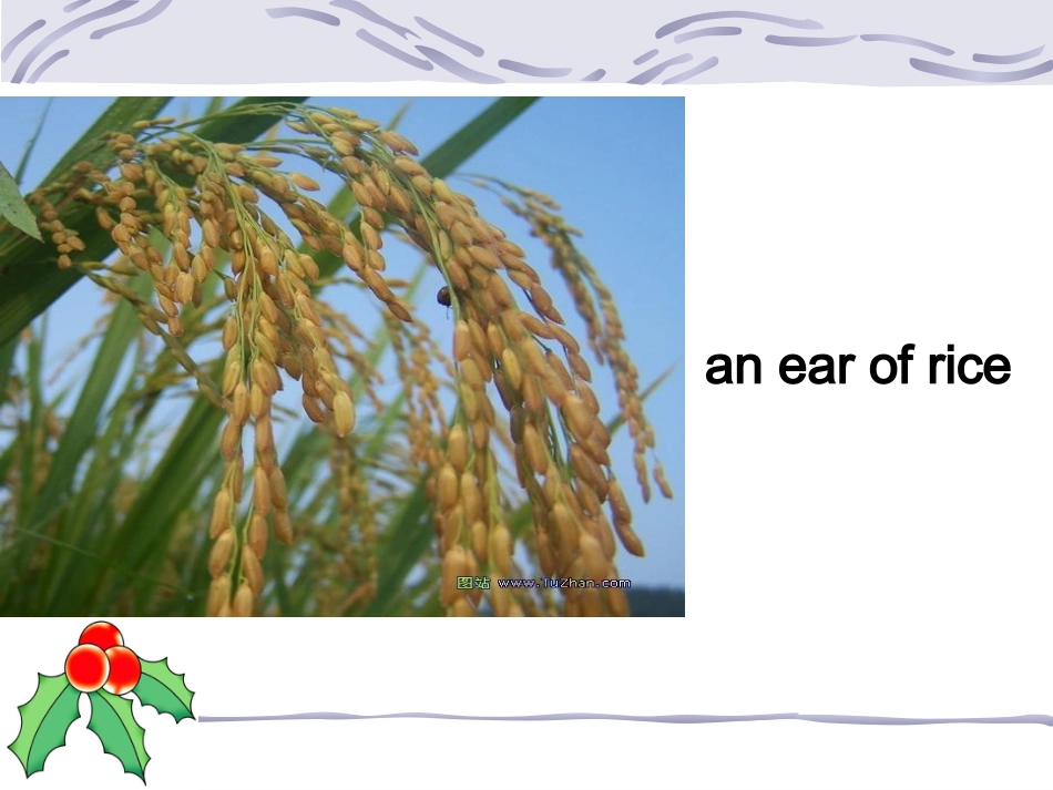 人教版必修4_Unit2Workingthelandreading_第2页