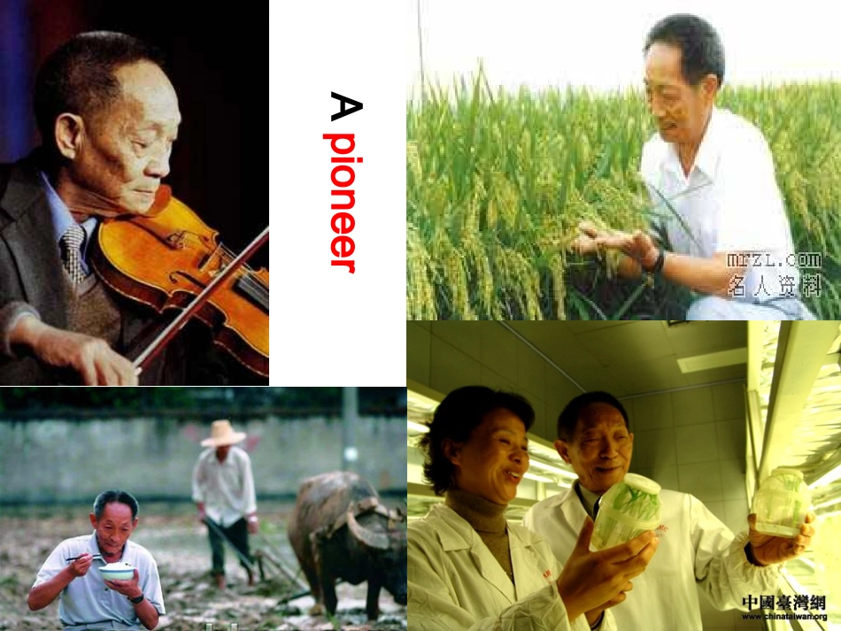 人教版必修4_Unit2Workingthelandreading_第3页