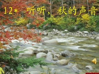 听听秋的声音 (4)