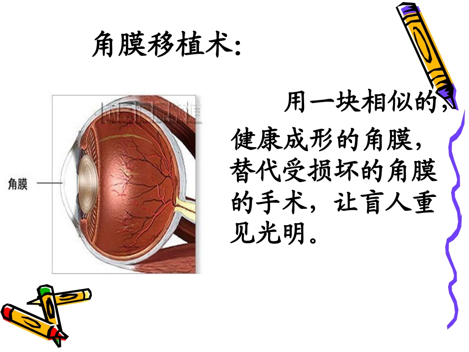 永生的眼睛 (2)_第3页