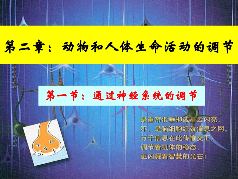 《通过神经系统的调节》教学课件_第1页