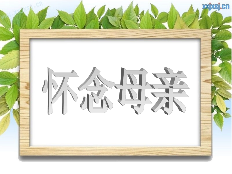 六年级语文上册第二组6怀念母亲课件_第1页