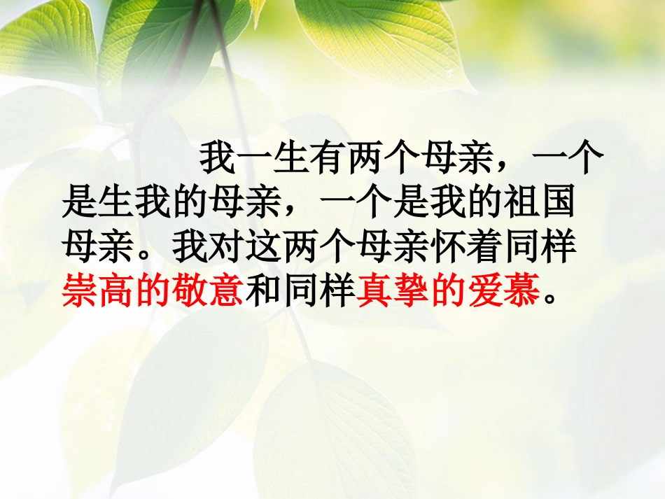 六年级语文上册第二组6怀念母亲课件_第2页