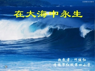 优质课课件《在大海中永生》