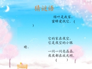 鲜花和星星课件 (2)