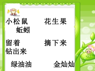 小松鼠找花生果(课件)