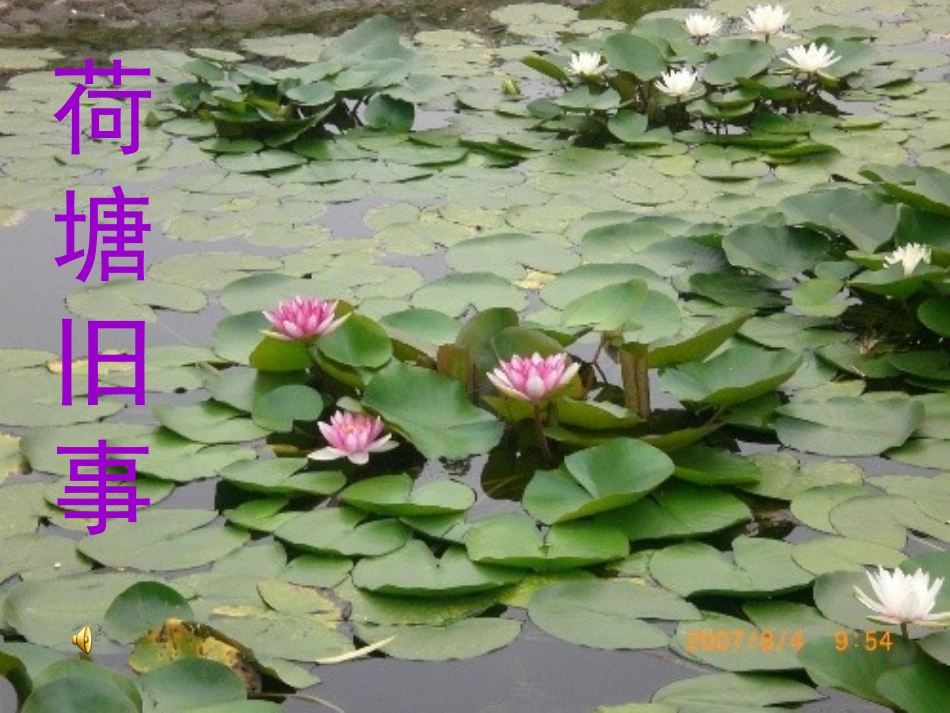 《荷塘旧事》教学课件一_第1页
