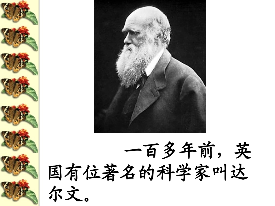 何正平课件《有趣的发现》_第3页