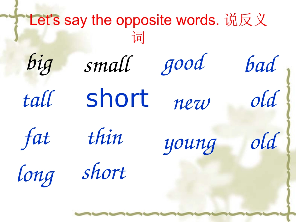 复件M_5_u1_it's_big_and_light视导课件_第3页