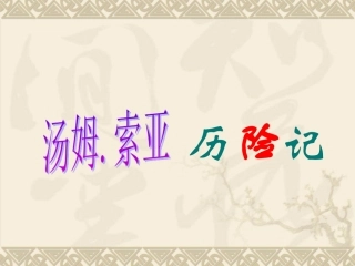 汤姆索亚历险记