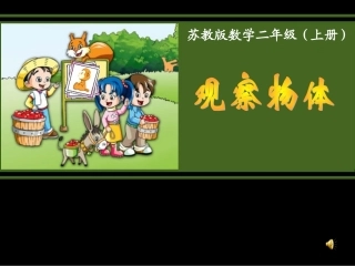 苏教版国标本二年级上册《观察物体》课件