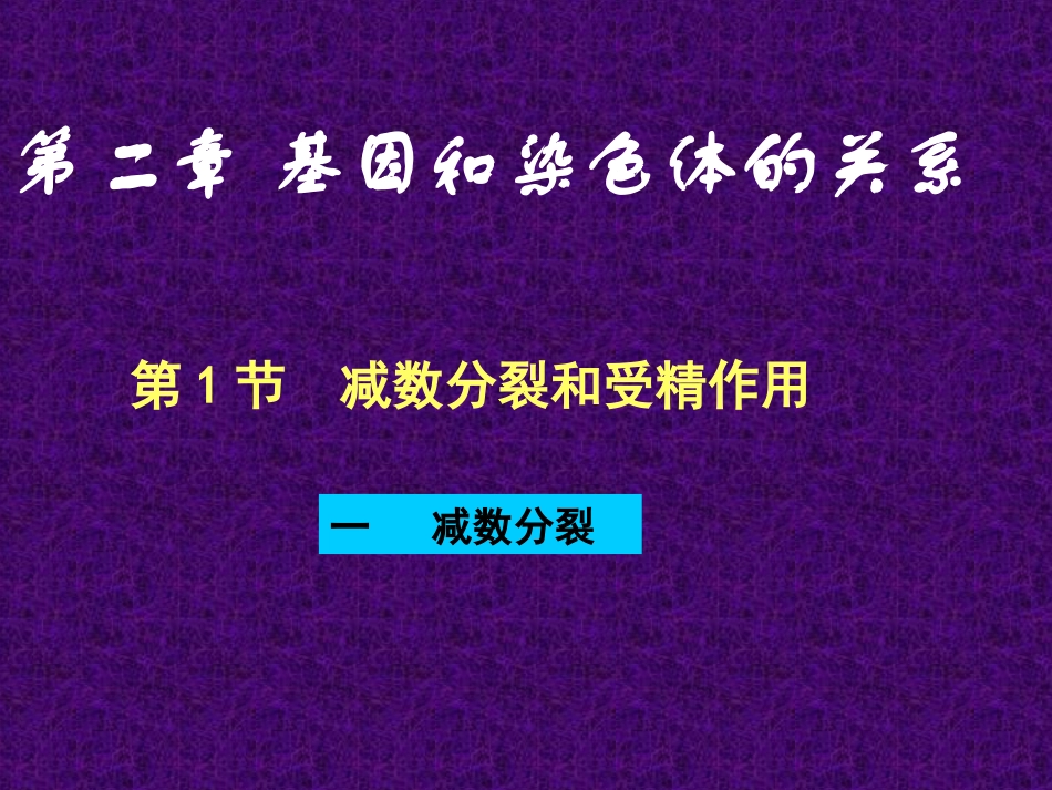 五2减数分裂和受精作用_第1页