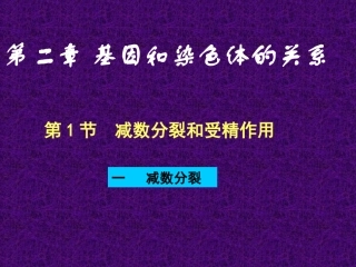五2减数分裂和受精作用