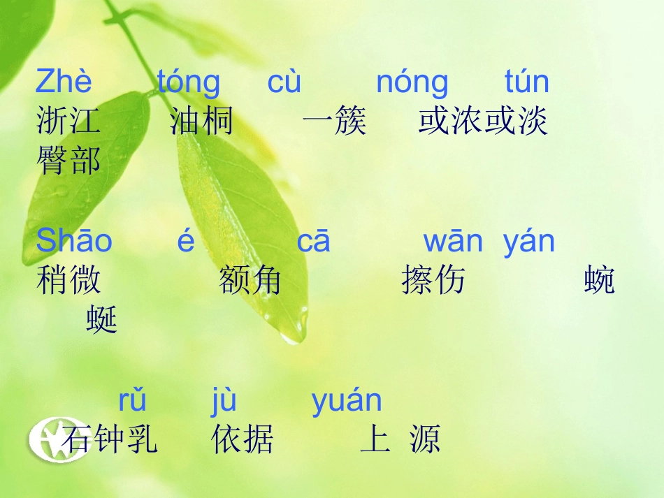 《记金华的双龙洞》教学课件_第2页