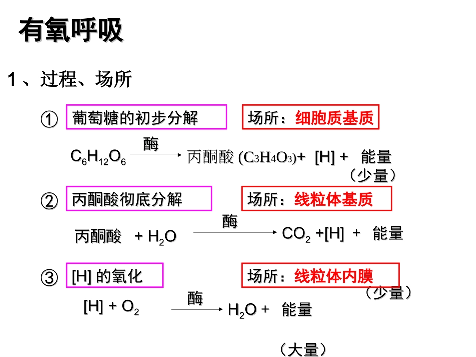 一轮复习_光合作用与呼吸作用_第2页