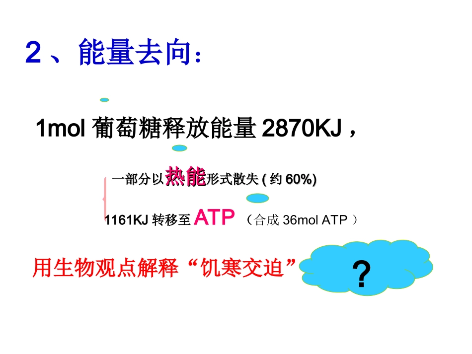 一轮复习_光合作用与呼吸作用_第3页