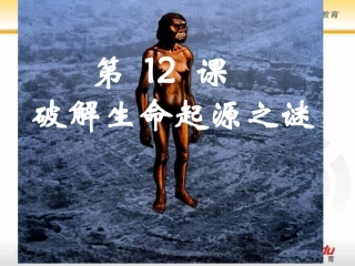 人教新课标版高二必修34[1]12破解生命起源之谜PPT课件8