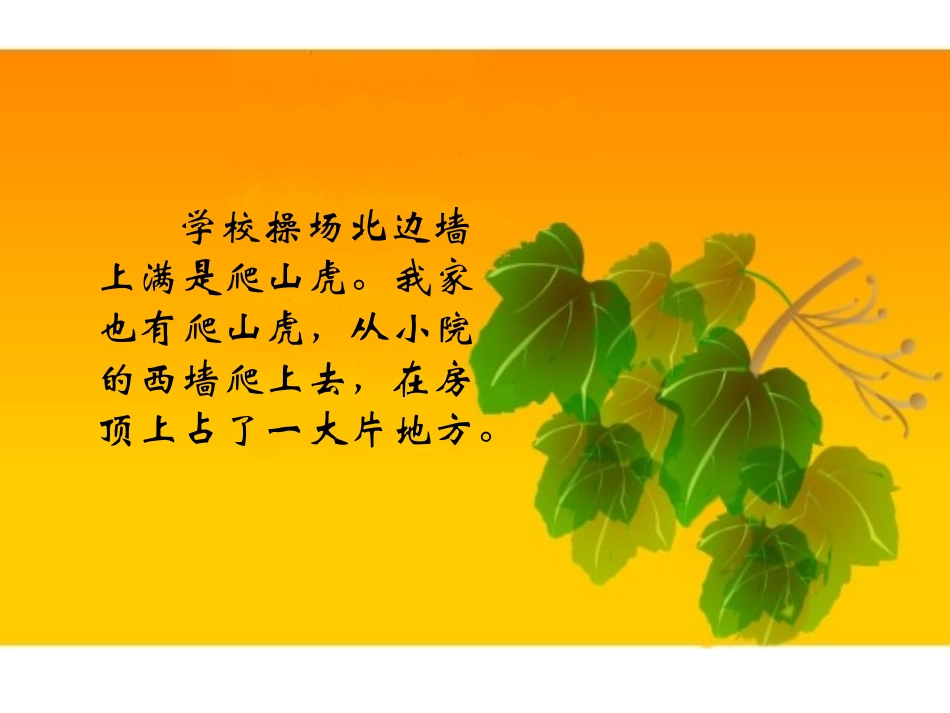 爬山虎的脚课件（杨丽娟）_第2页