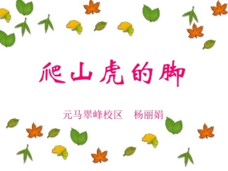 爬山虎的脚课件（杨丽娟）
