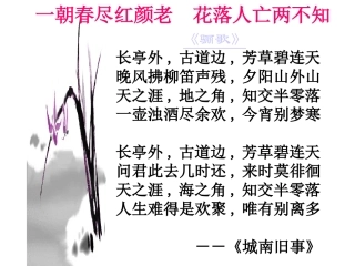 语文：《爸爸的花儿落了》课件（人教版七年级下册）