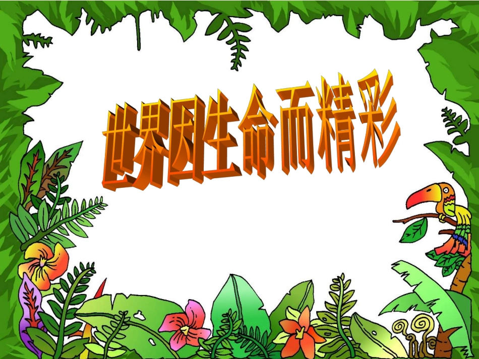 世界因生命而精彩2_第1页