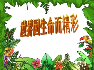 世界因生命而精彩2