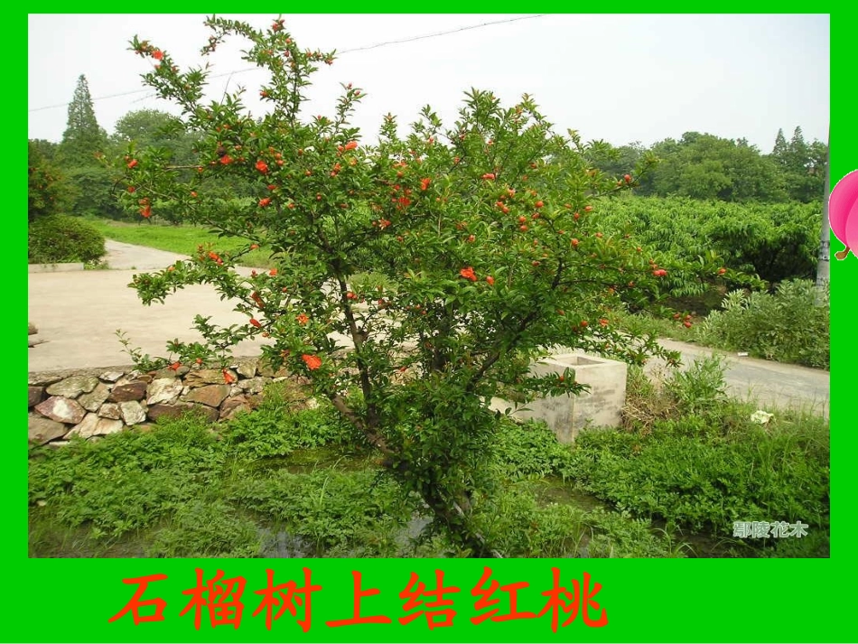 中班语言：说颠倒_第3页